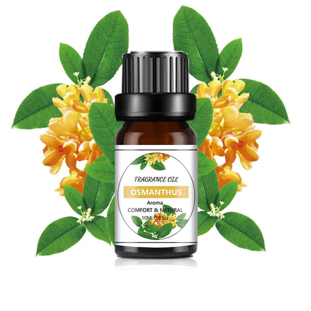 10ml Fruit Essential Oil – Mango & Pineapple for DIY Soaps & Candles 10ml Fruit Essential Oil – Mango & Pineapple for DIY Soaps & Candles