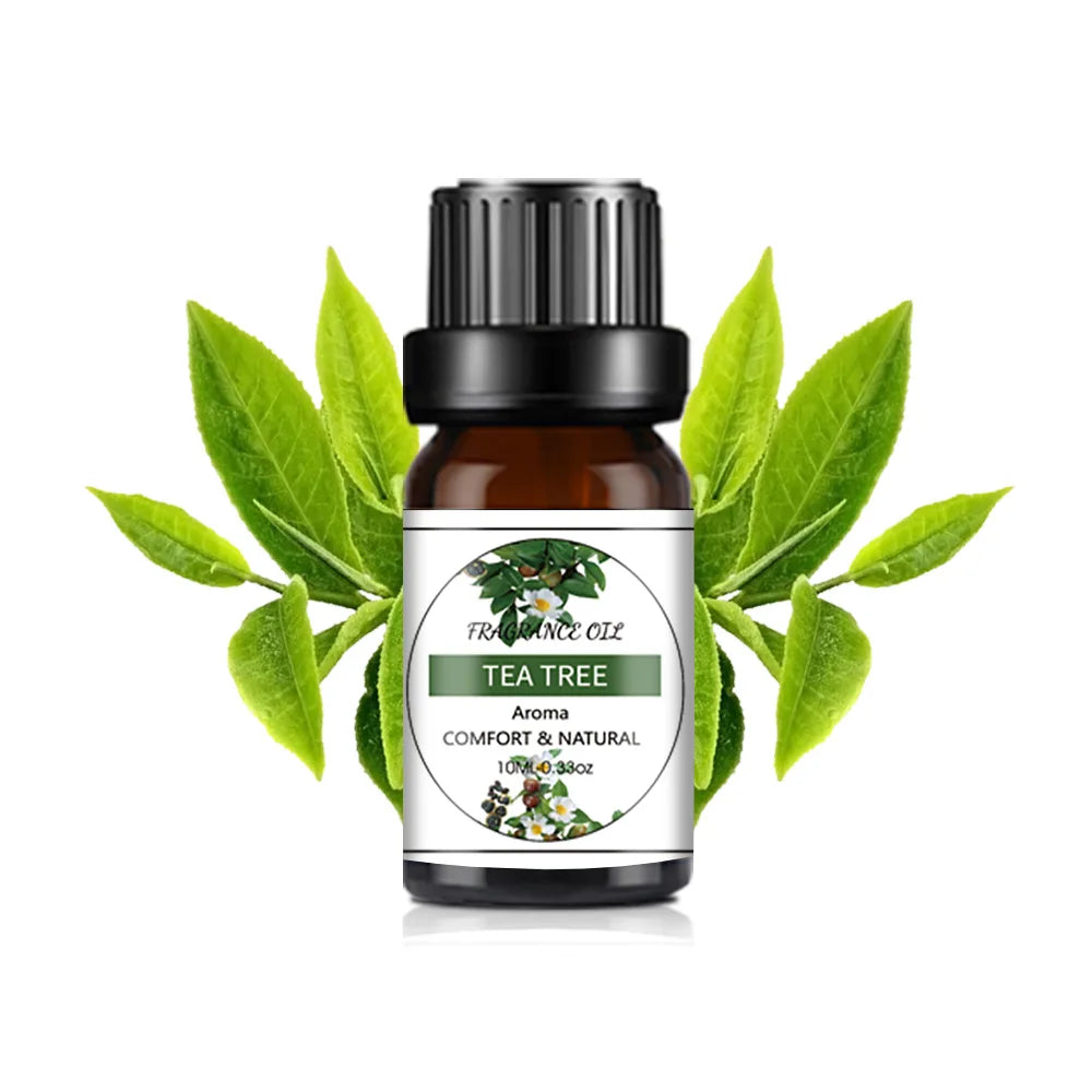 10ml Fruit Essential Oil – Mango & Pineapple for DIY Soaps & Candles 10ml Fruit Essential Oil – Mango & Pineapple for DIY Soaps & Candles