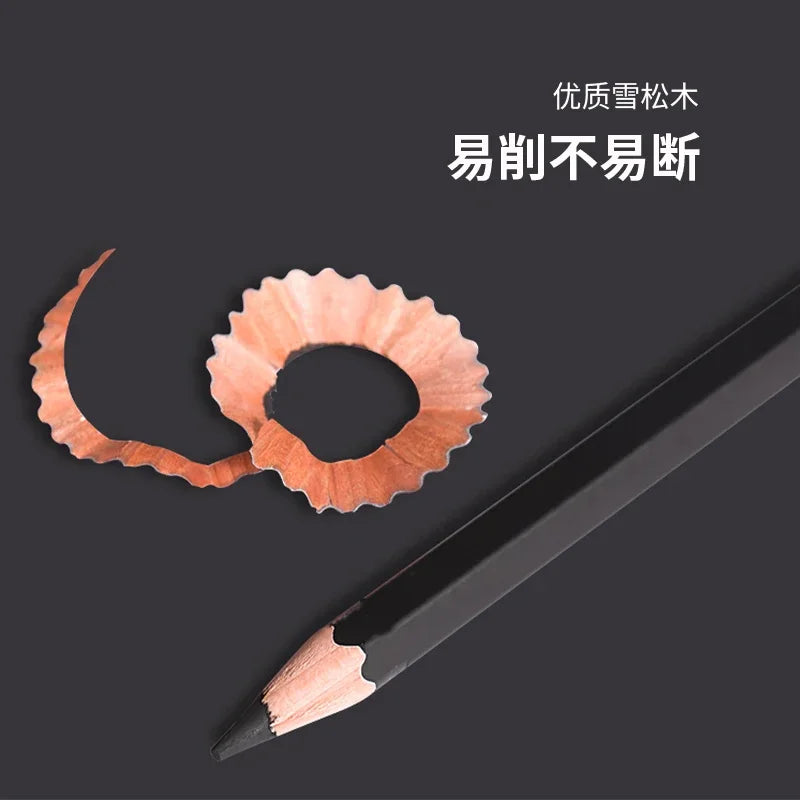 10-Piece Professional Charcoal Pencil Set